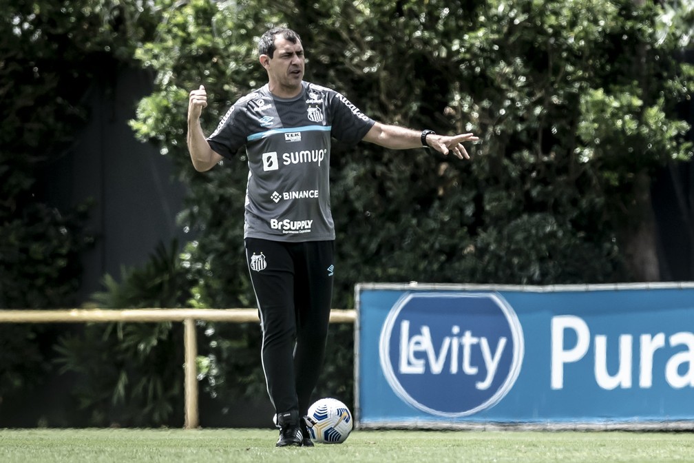 Às vésperas da estreia do Santos no Paulistão, Fábio Carille testa positivo para Covid-19