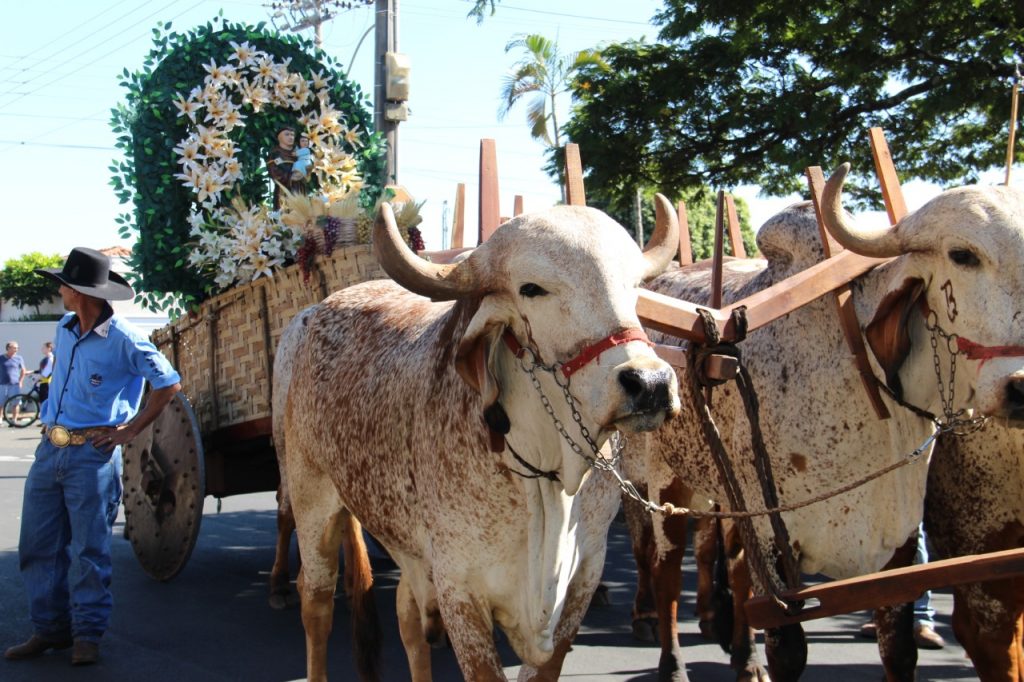 Cavalaria Antoniana será realizada no próximo dia 11 de junho