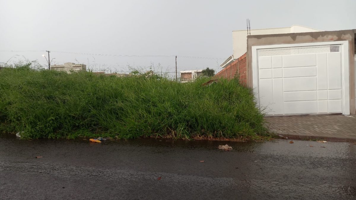 Campanha Cidade Limpa: Terrenos particulares sujos podem render multas e taxas de até R$ 1 mil